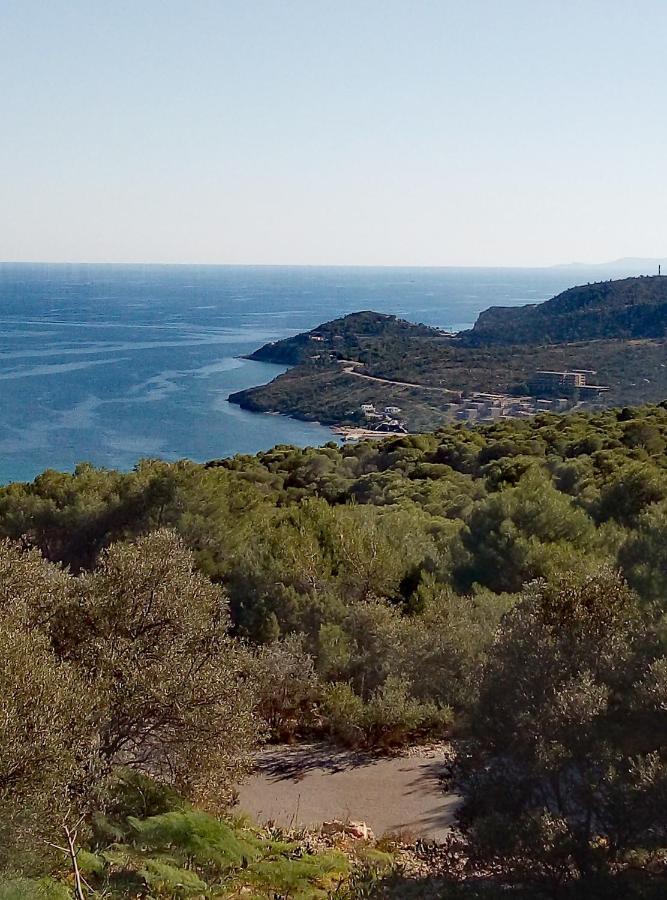 Lefteris Beautiful Aegina Villa Eksteriør bilde