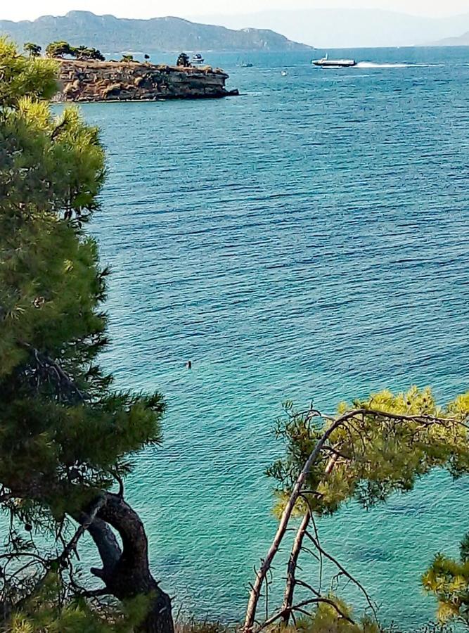 Lefteris Beautiful Aegina Villa Eksteriør bilde
